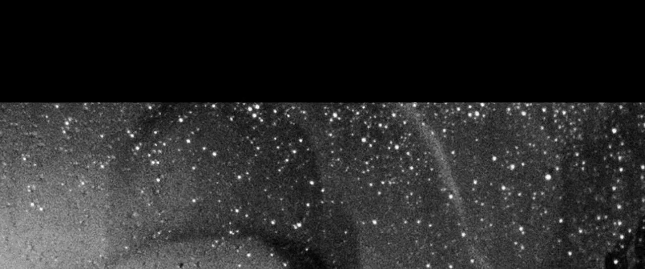 送报男孩剧照的剧照