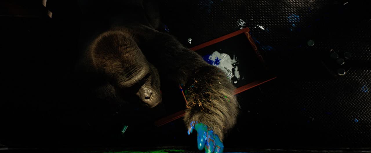 独一无二的伊万剧照的剧照