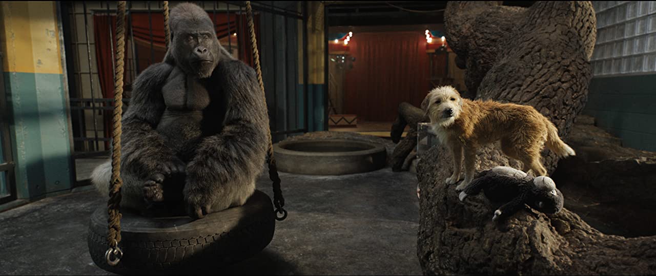 独一无二的伊万剧照的剧照