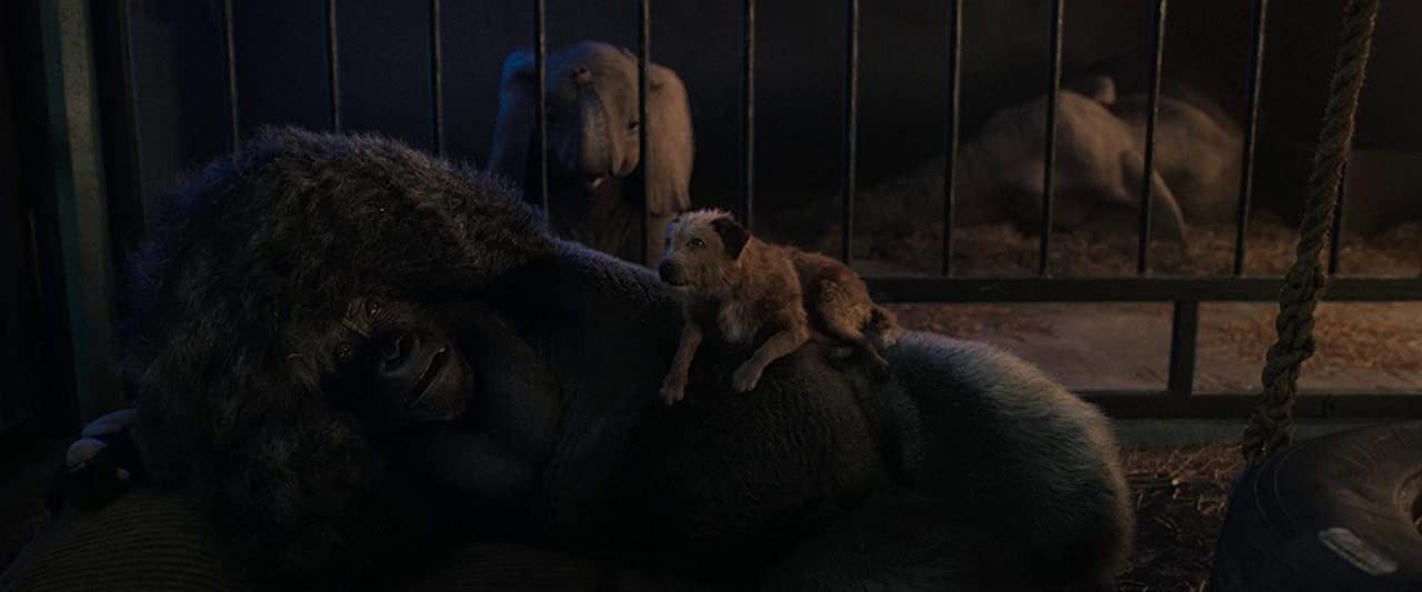 独一无二的伊万剧照的剧照