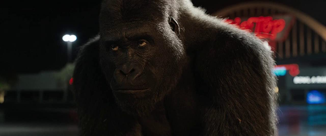 独一无二的伊万剧照的剧照