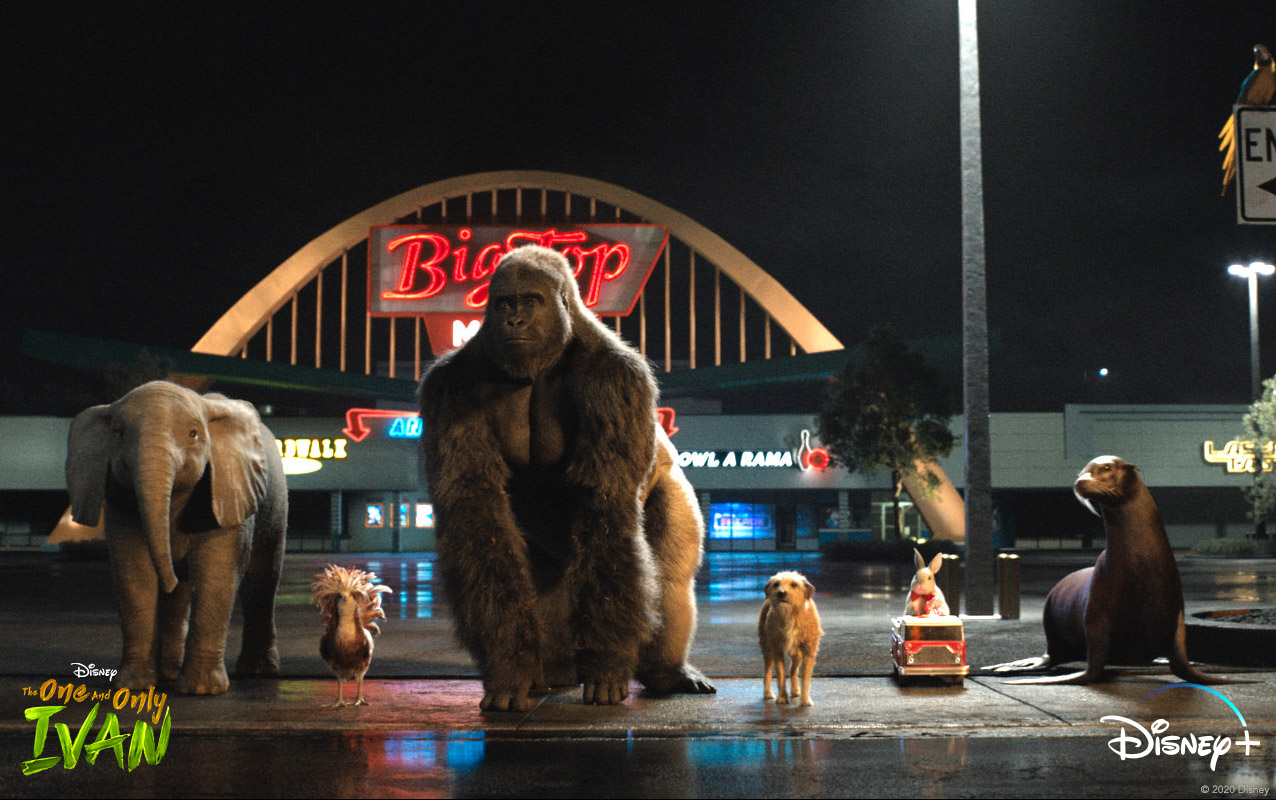 独一无二的伊万剧照的剧照