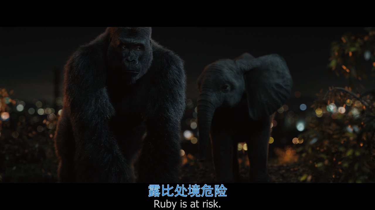 独一无二的伊万剧照的剧照