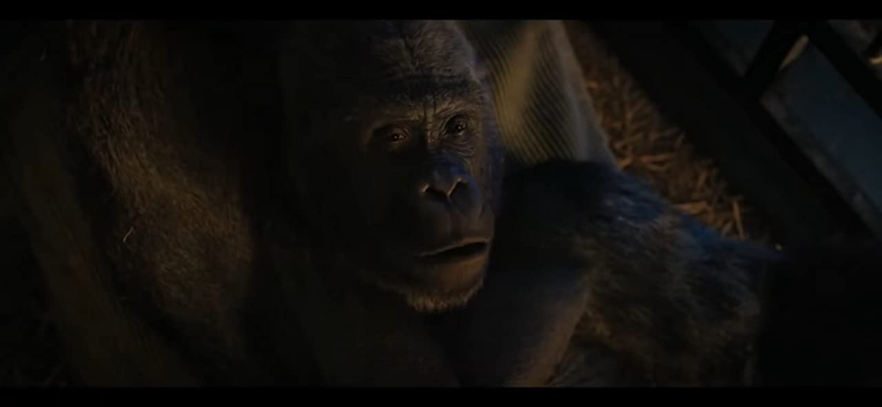 独一无二的伊万剧照的剧照