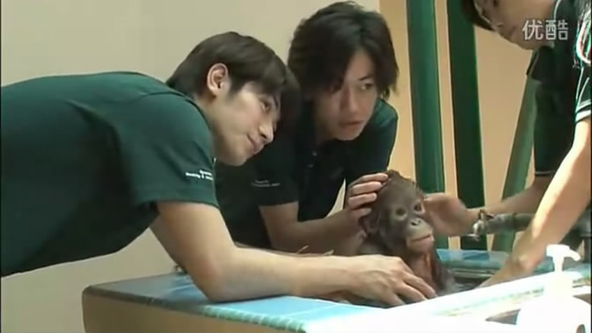 HT~赤道の真下で、鍋をつつく~剧照的剧照