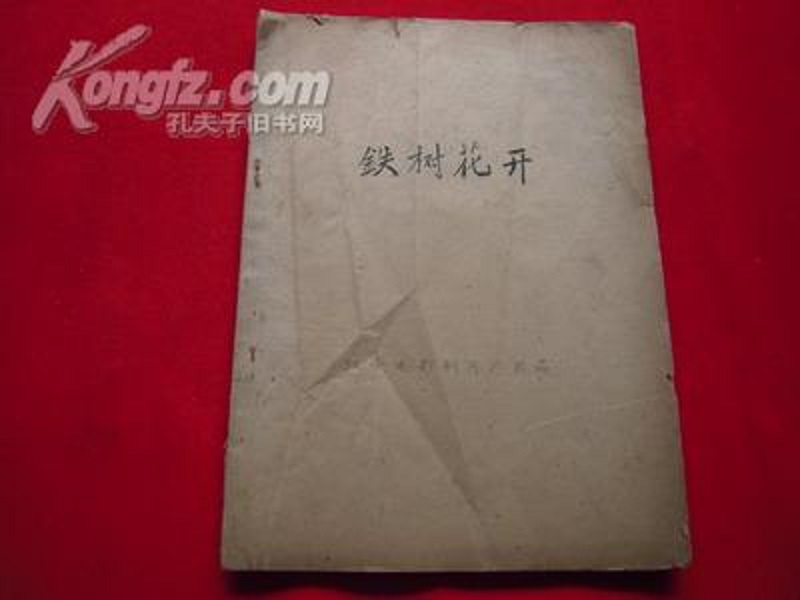 铁树花开剧照的剧照