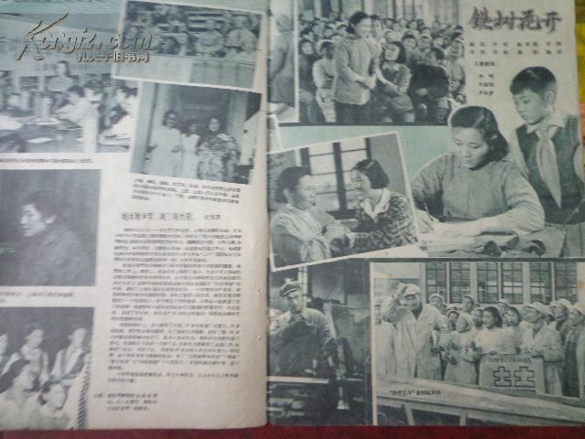 铁树花开剧照的剧照