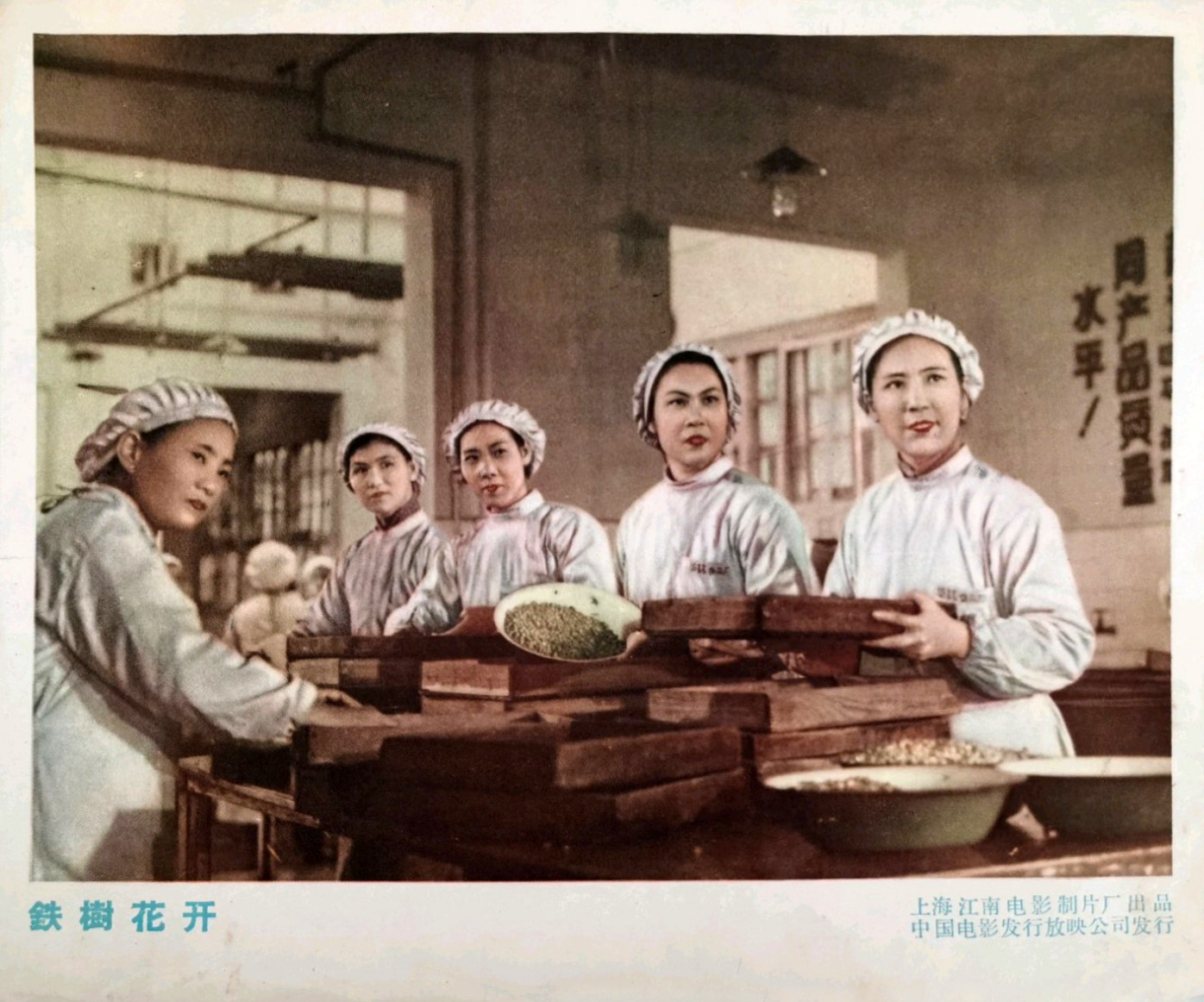 铁树花开剧照的剧照