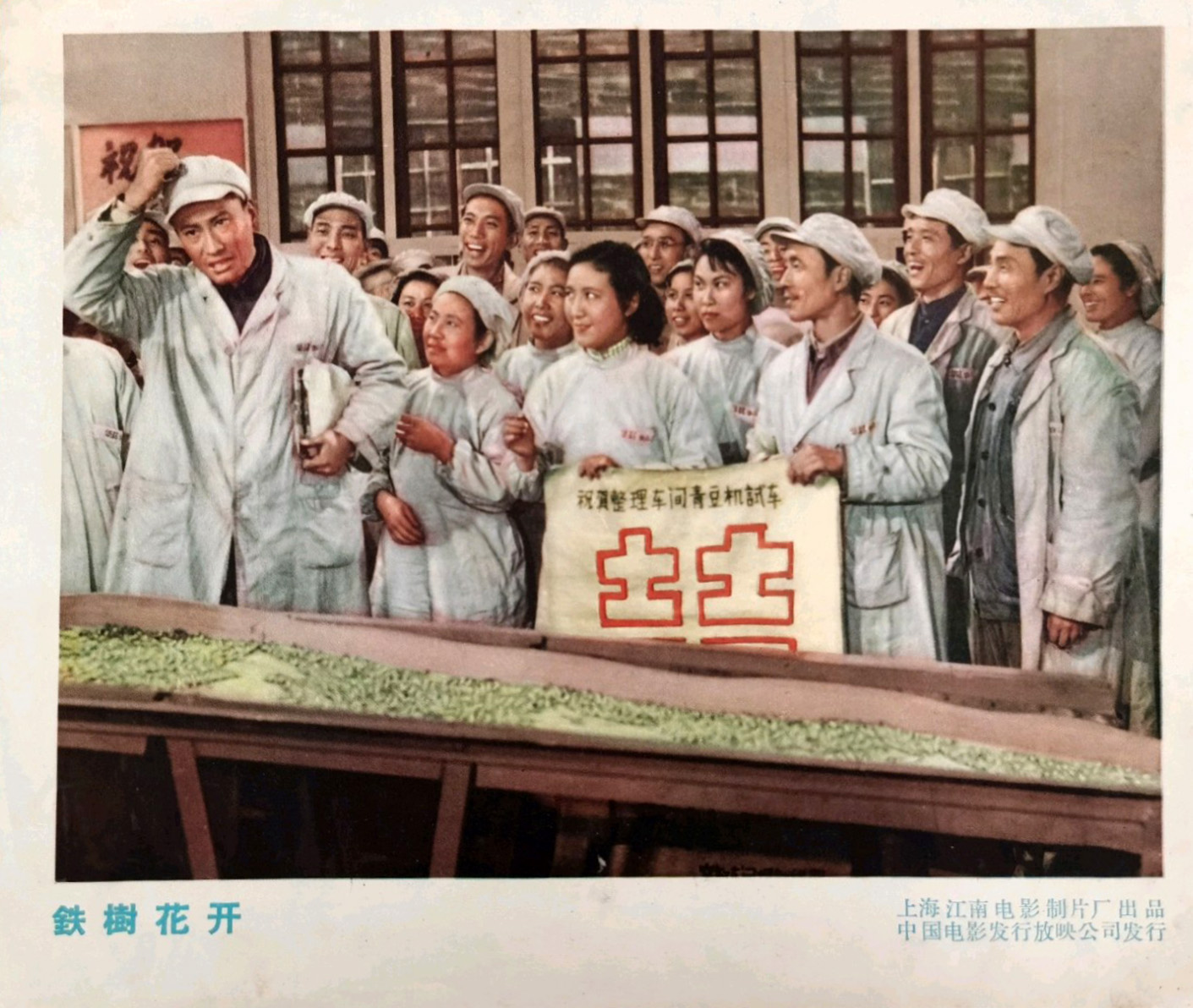 铁树花开剧照的剧照