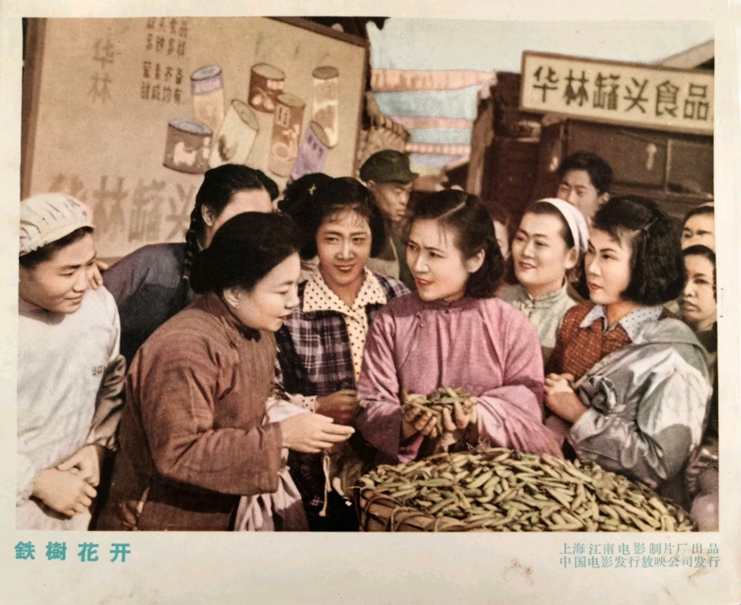 铁树花开剧照的剧照