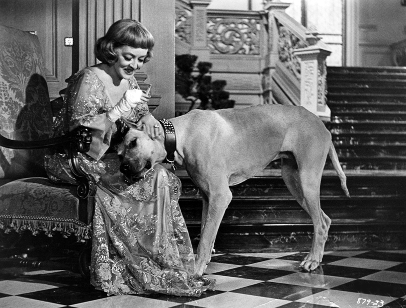 孽扣剧照的剧照