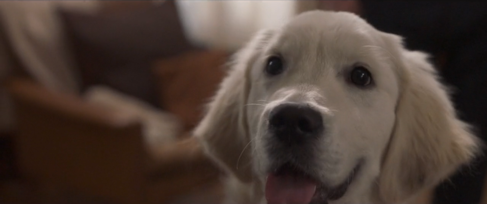 最好的还未到来剧照的剧照