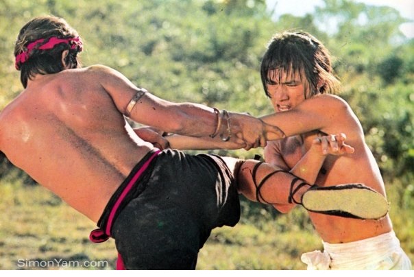 方世玉与洪熙官剧照的剧照