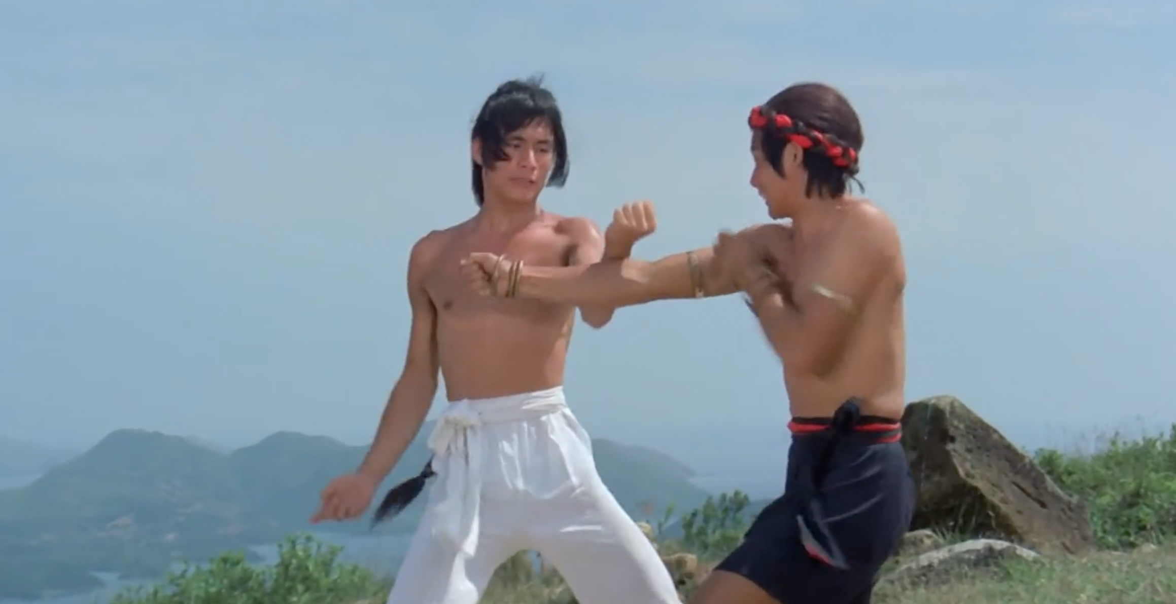 方世玉与洪熙官剧照的剧照