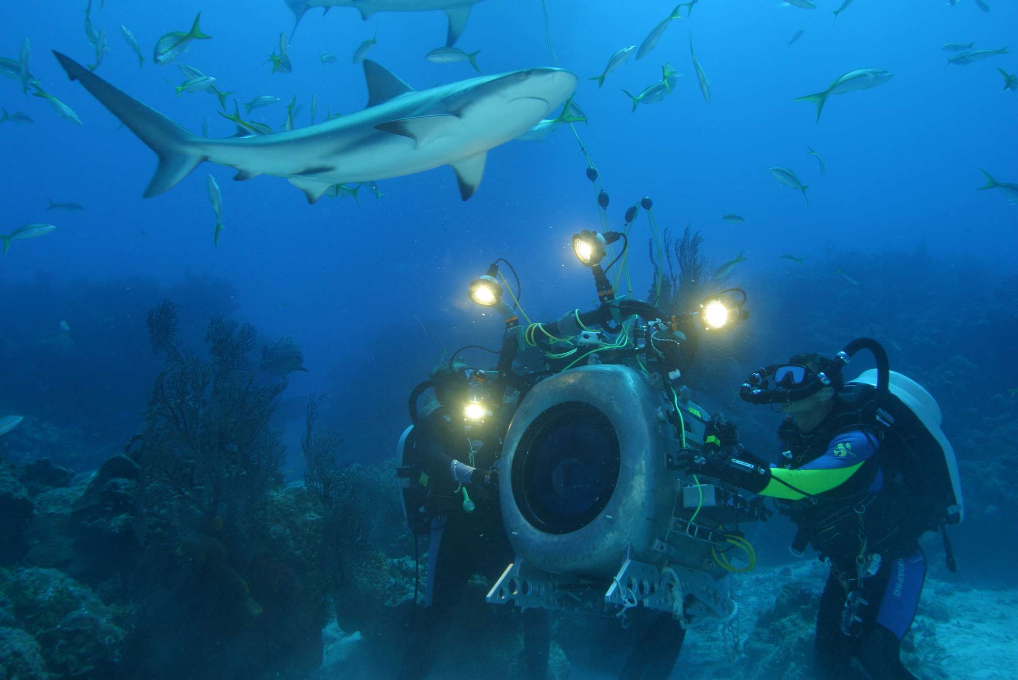深海猎奇剧照的剧照