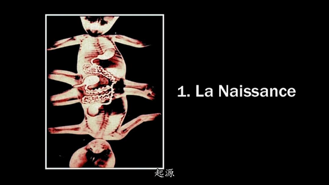 姐妹情仇剧照的剧照