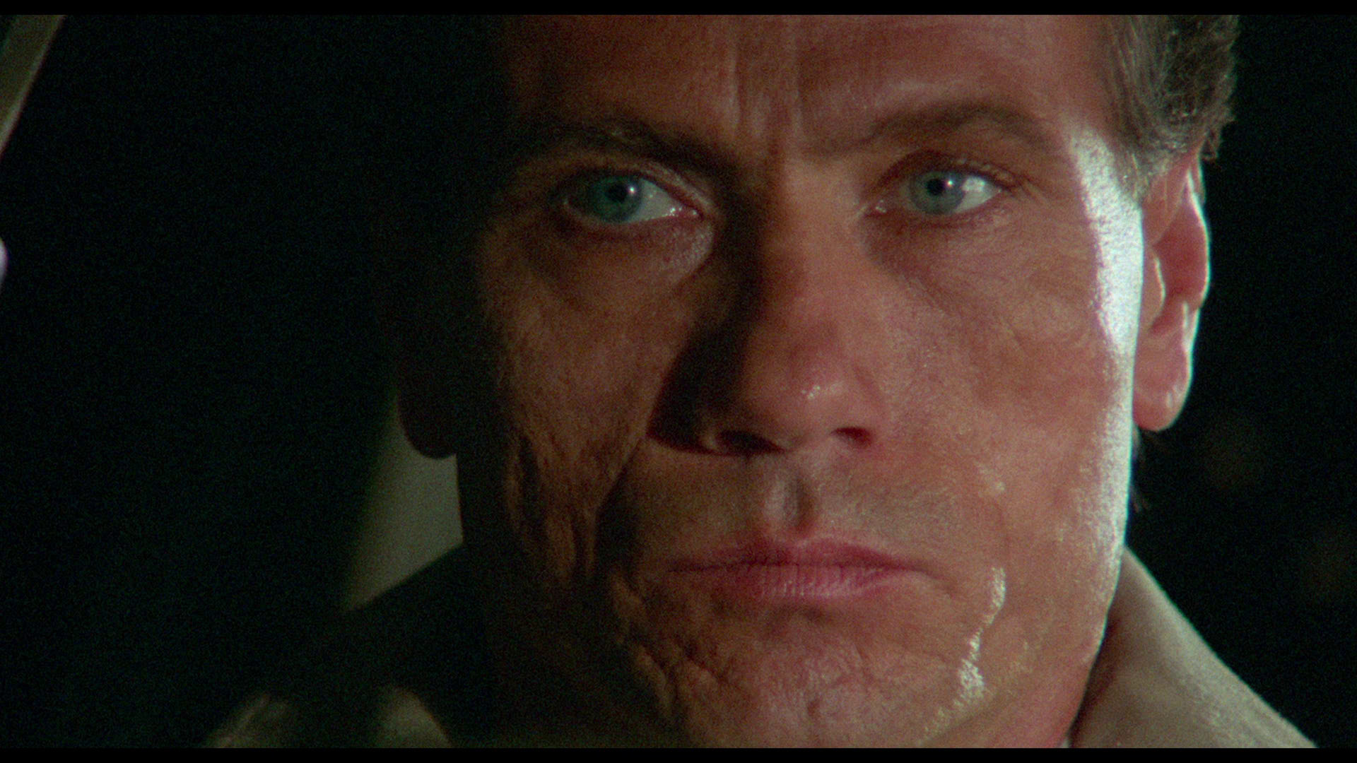 血染的季节剧照的剧照