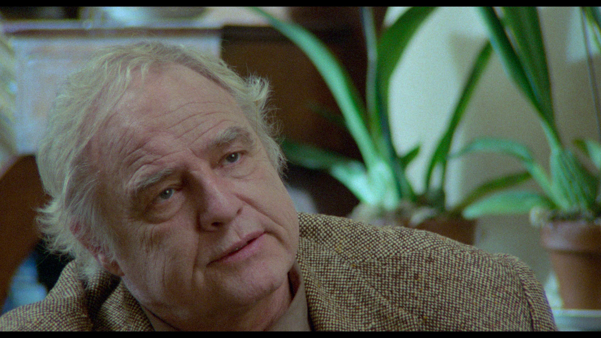 血染的季节剧照的剧照