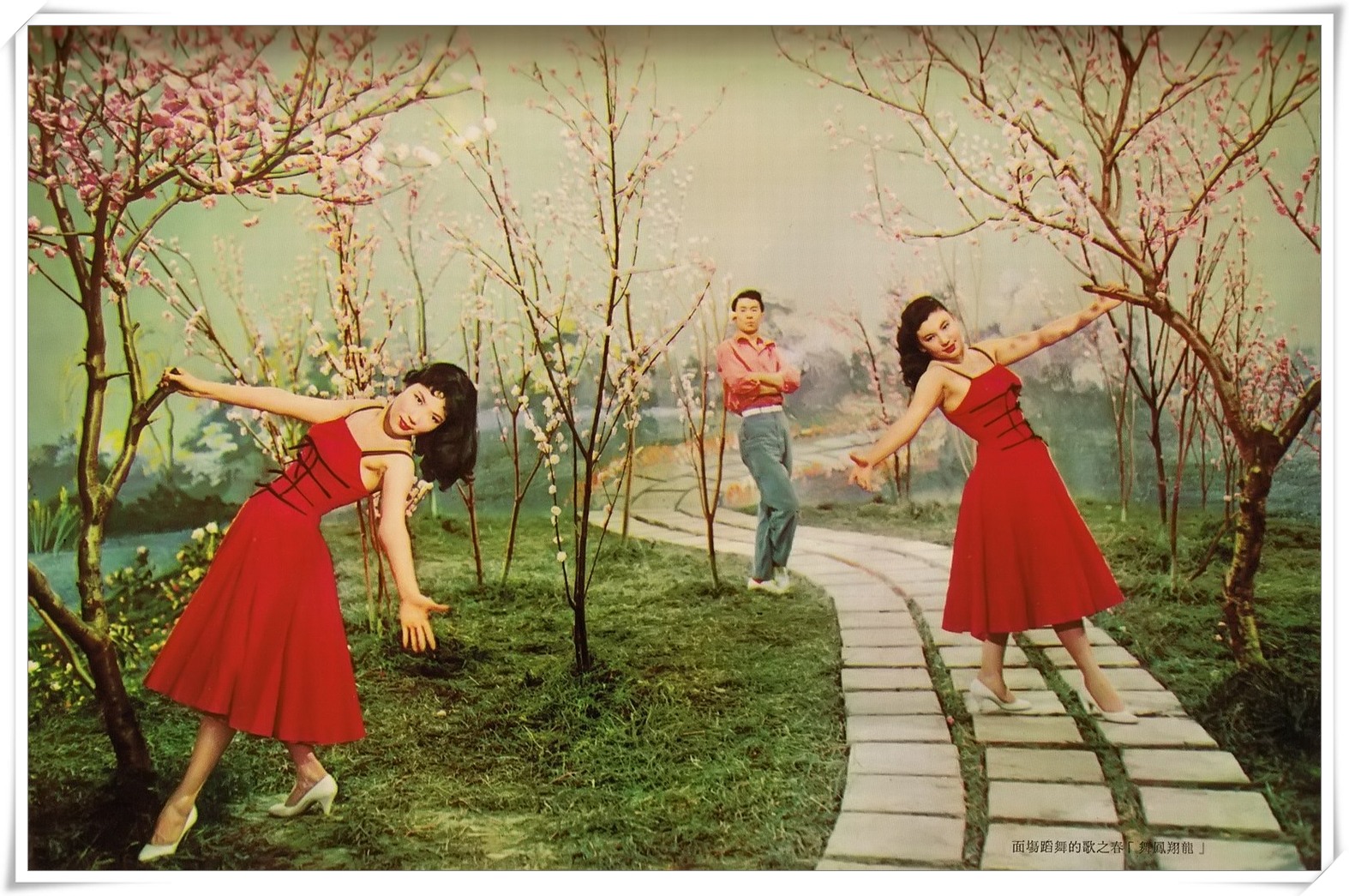 龙翔凤舞剧照的剧照