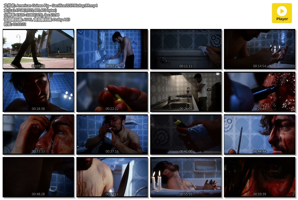 美国豚鼠4:献祭剧照的剧照