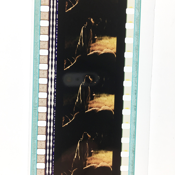 终极贱靶剧照的剧照