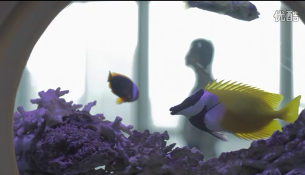 宅男电台剧照的剧照