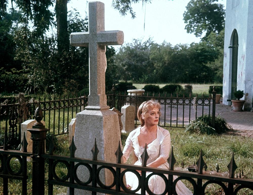 最毒妇人心剧照的剧照