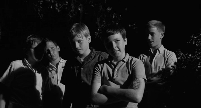 最毒妇人心剧照的剧照