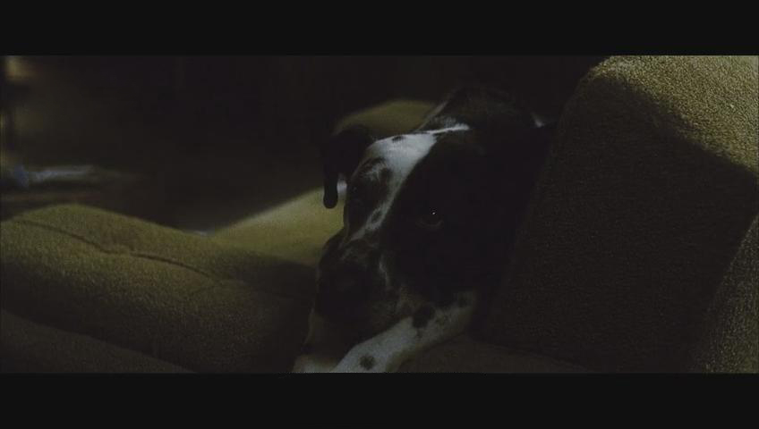 蓝色粉末剧照的剧照