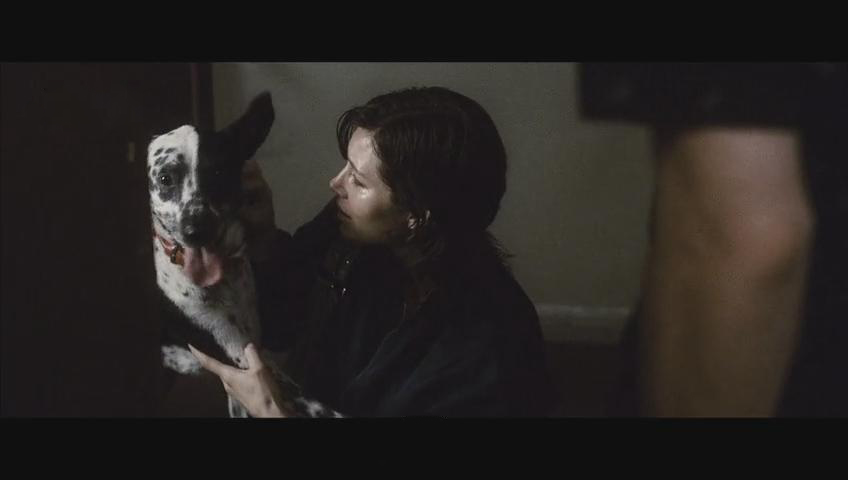 蓝色粉末剧照的剧照