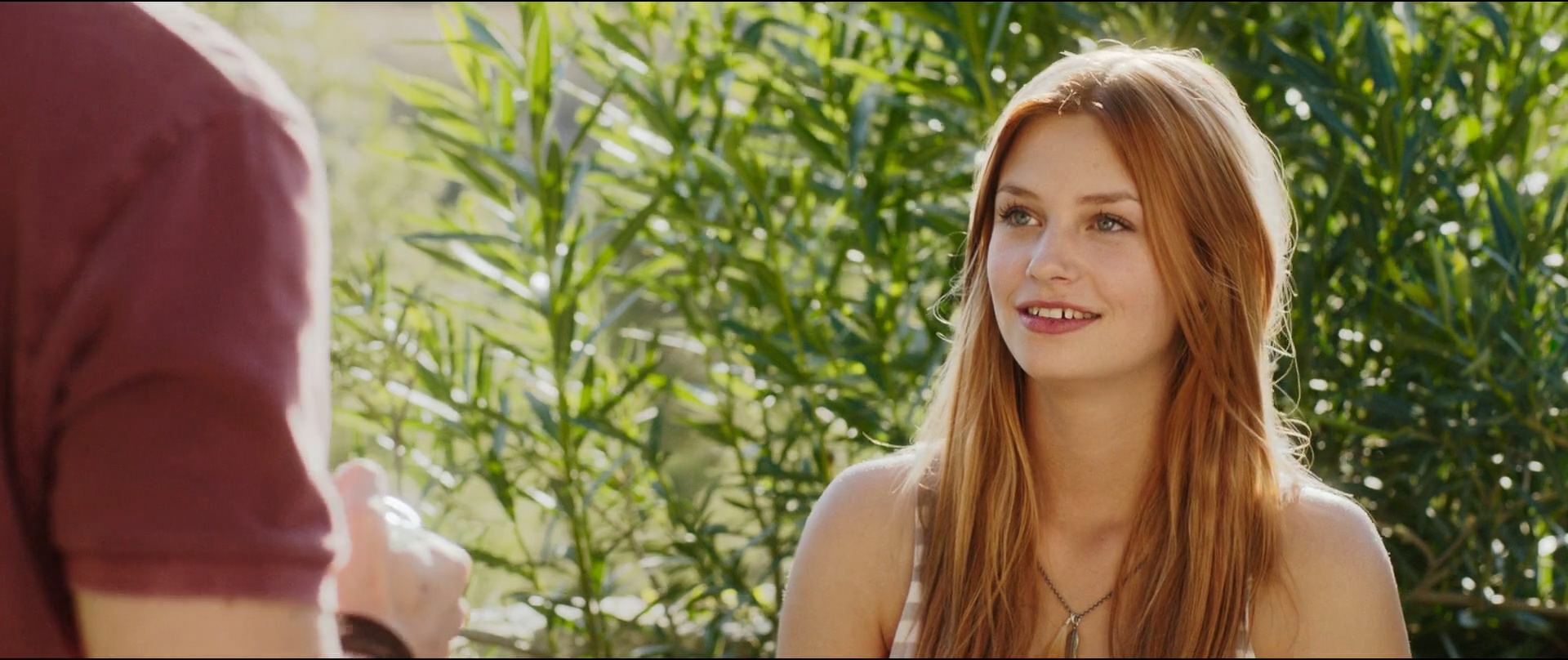 骏马奥斯温3剧照的剧照