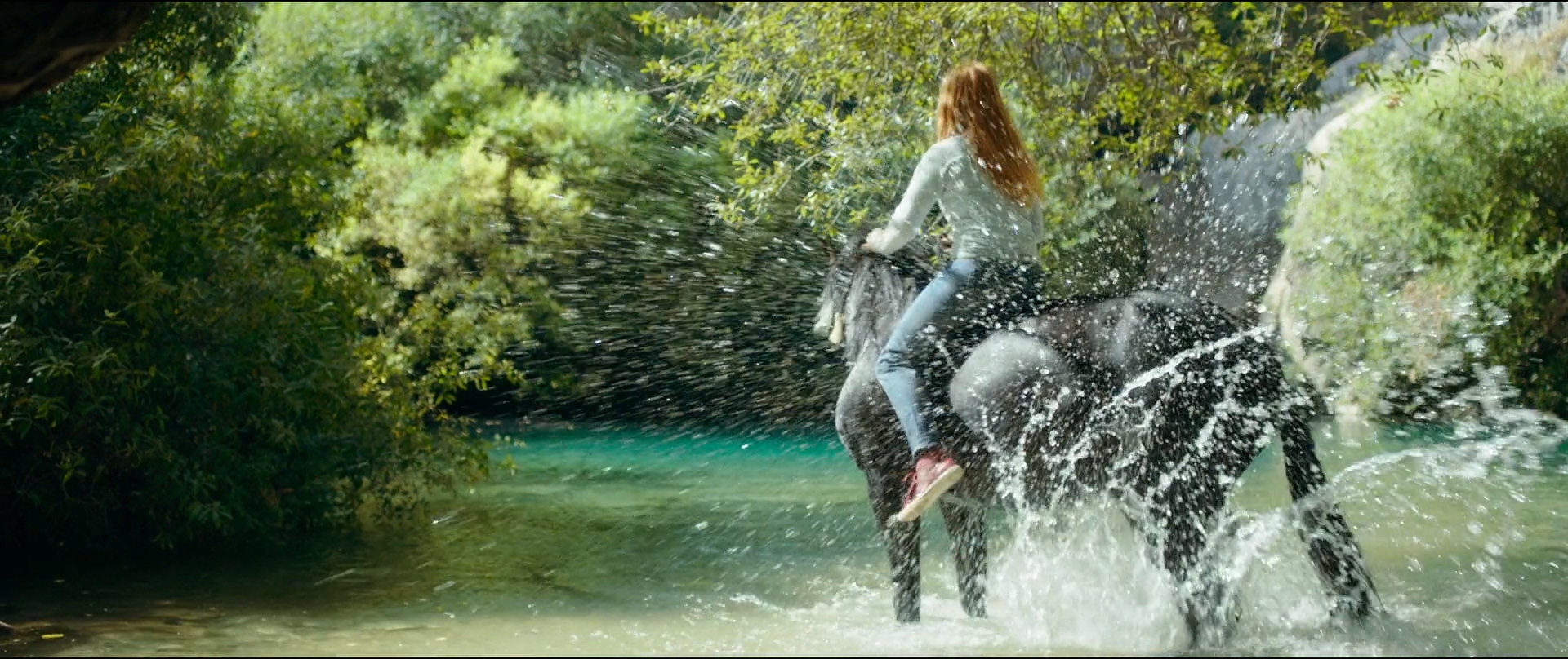 骏马奥斯温3剧照的剧照