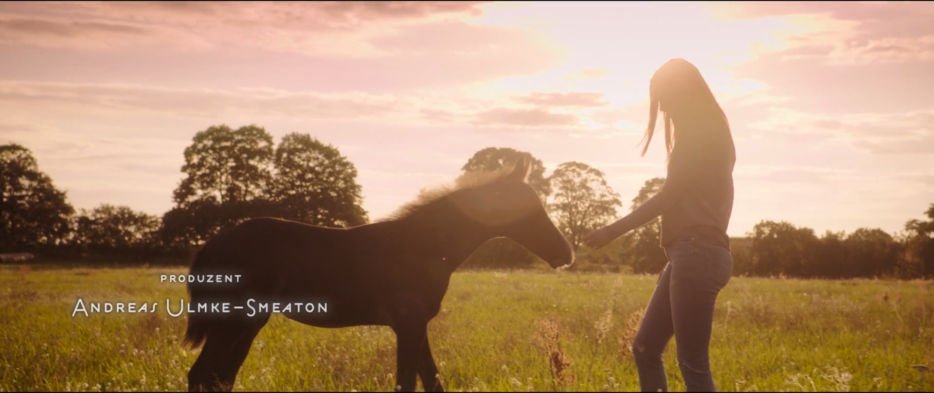 骏马奥斯温3剧照的剧照