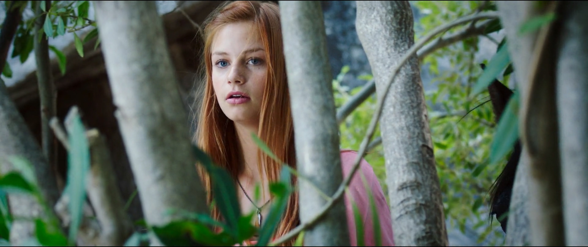 骏马奥斯温3剧照的剧照