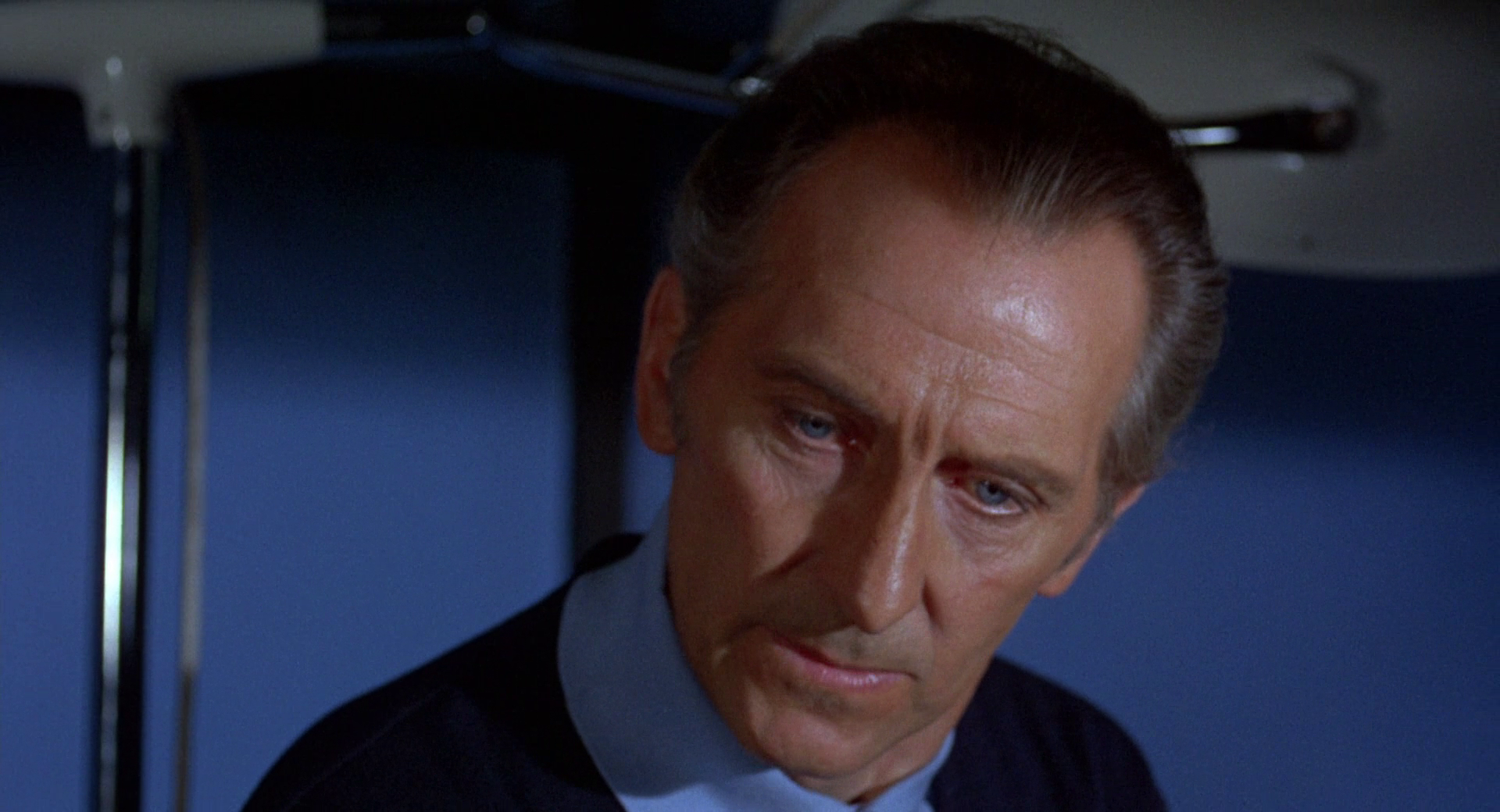 腐烂剧照的剧照