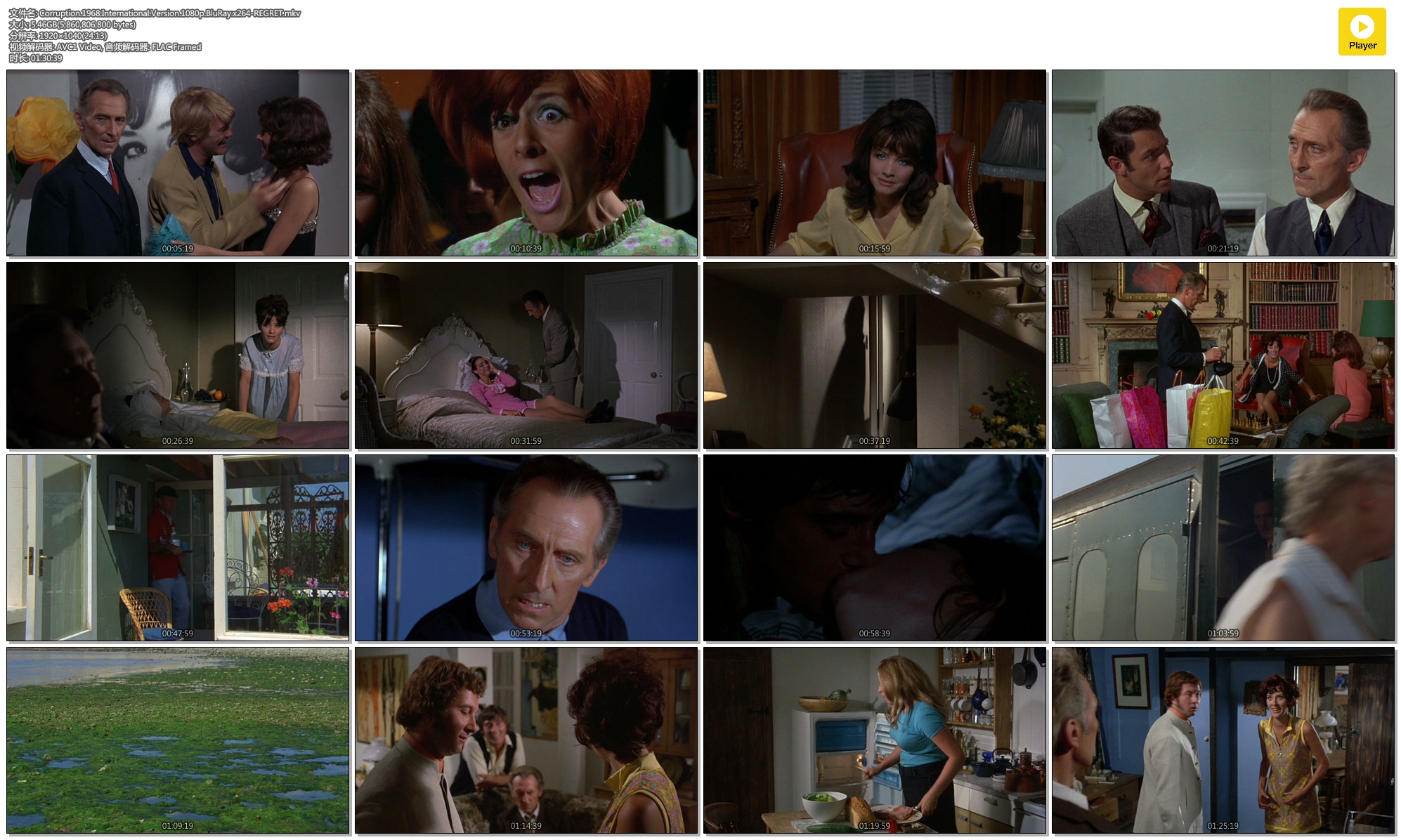 腐烂剧照的剧照