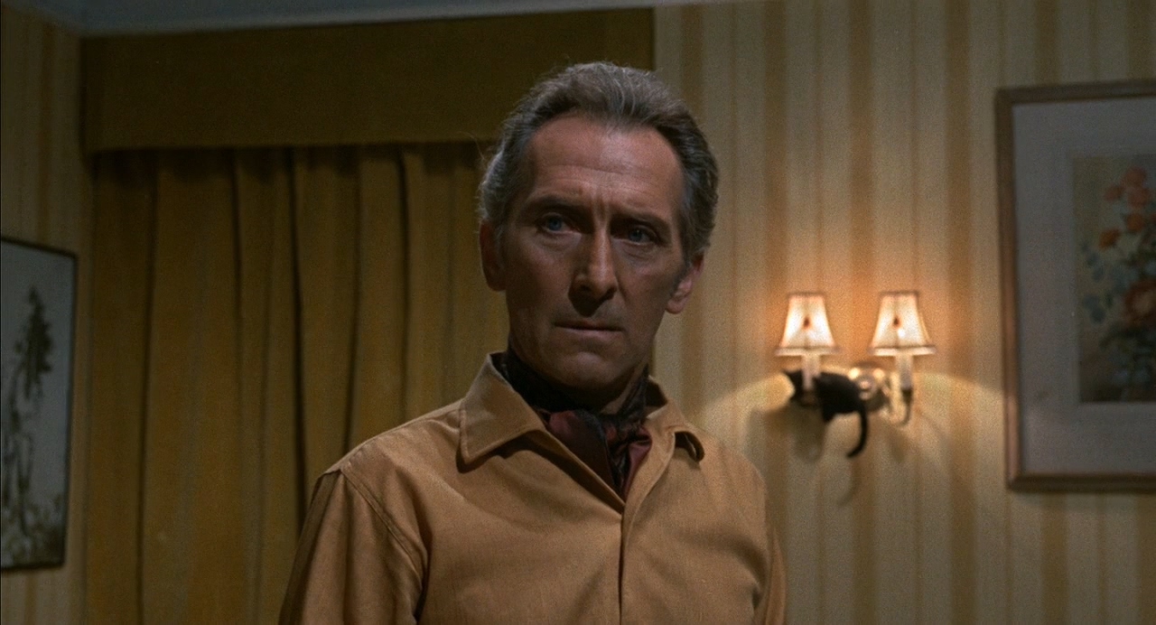 腐烂剧照的剧照