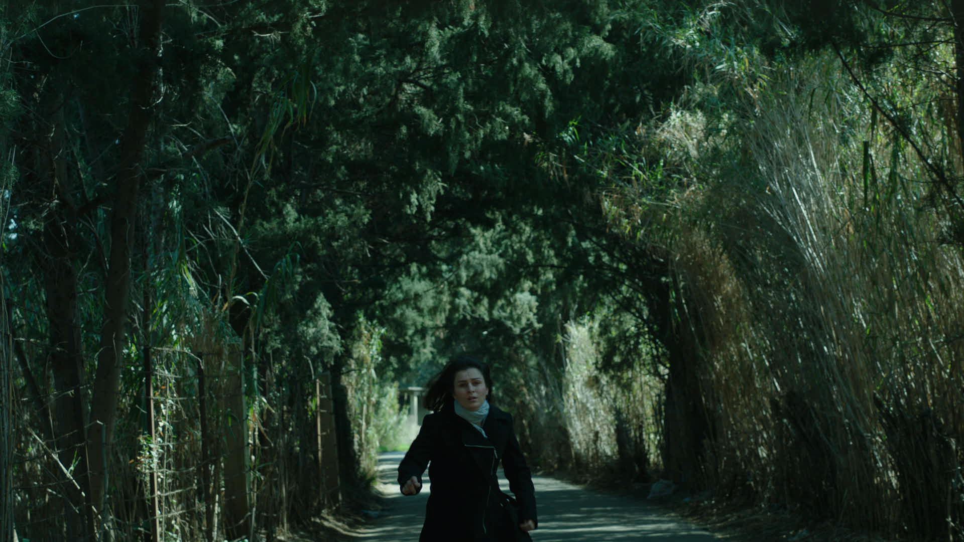 我失去影子的那天剧照的剧照