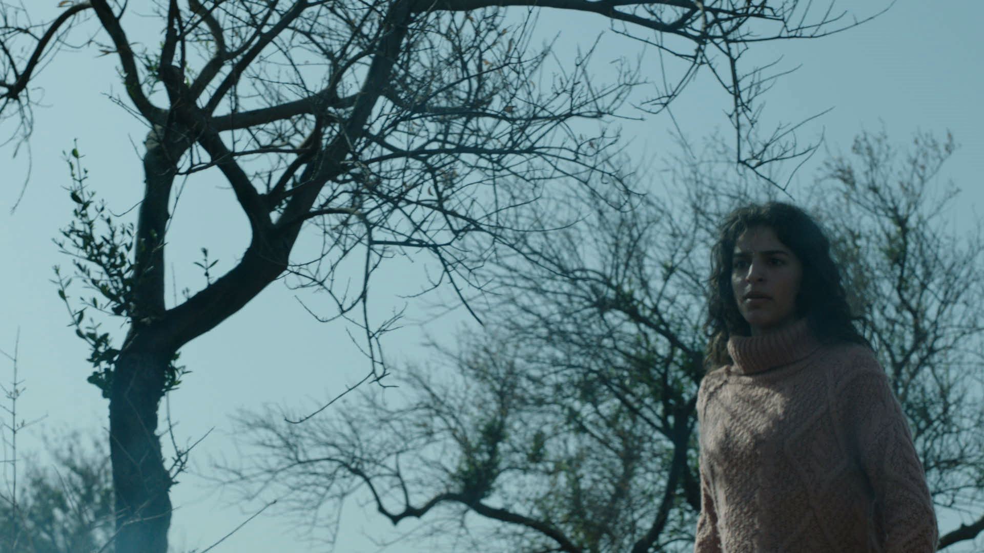 我失去影子的那天剧照的剧照