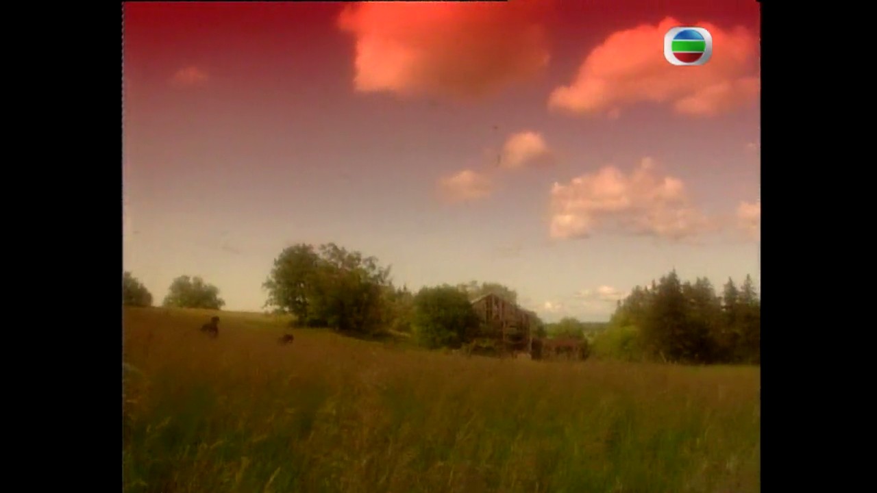 死角剧照的剧照