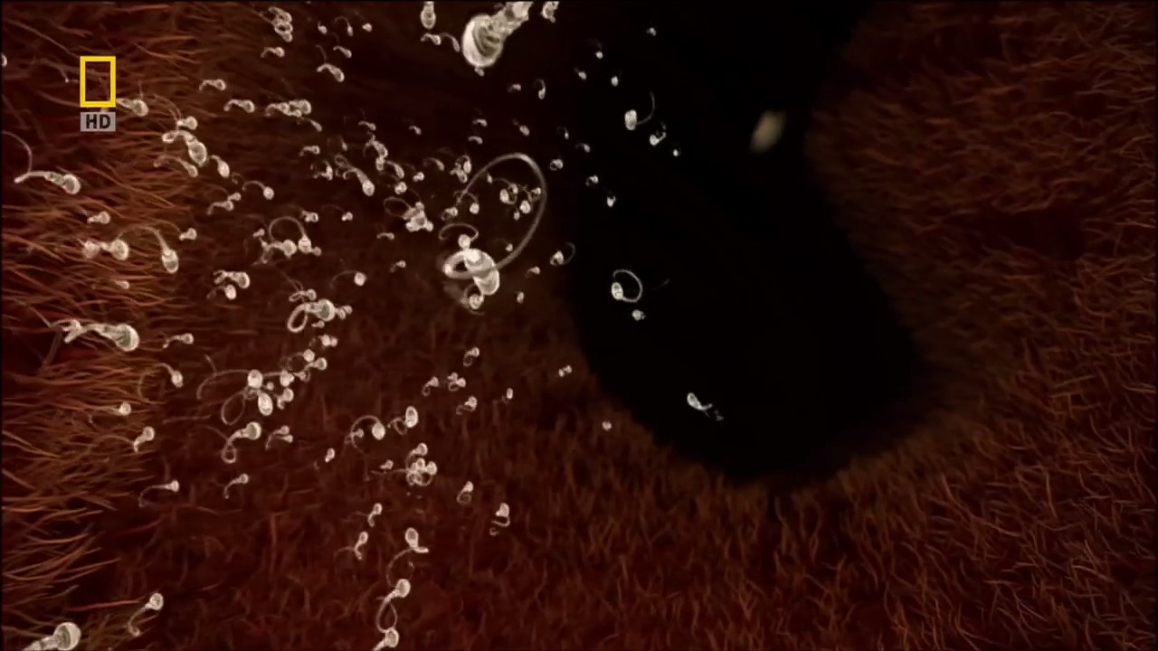 子宫日记：动物篇剧照的剧照