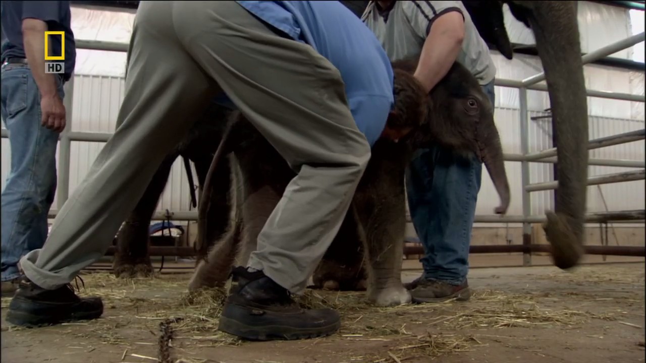 子宫日记：动物篇剧照的剧照