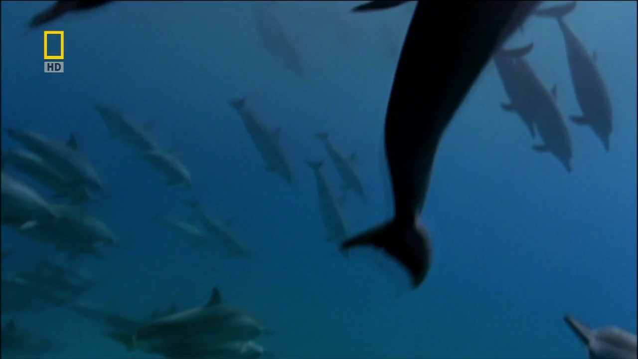 子宫日记：动物篇剧照的剧照