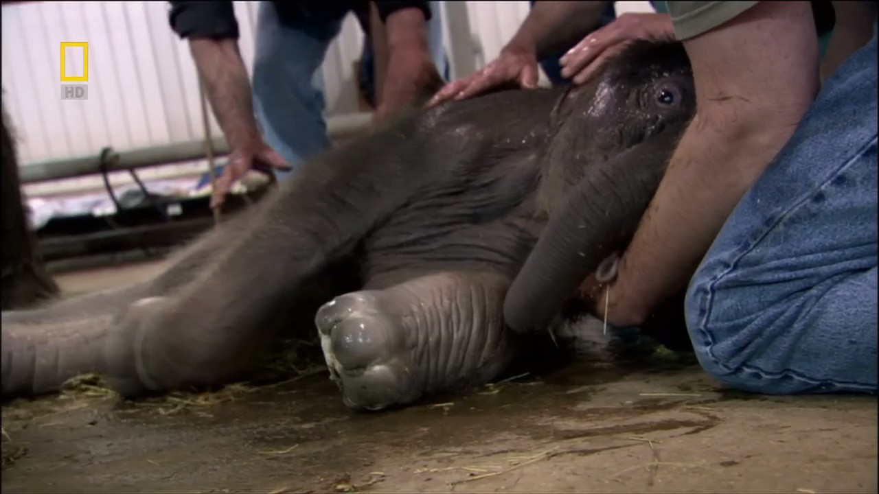 子宫日记：动物篇剧照的剧照