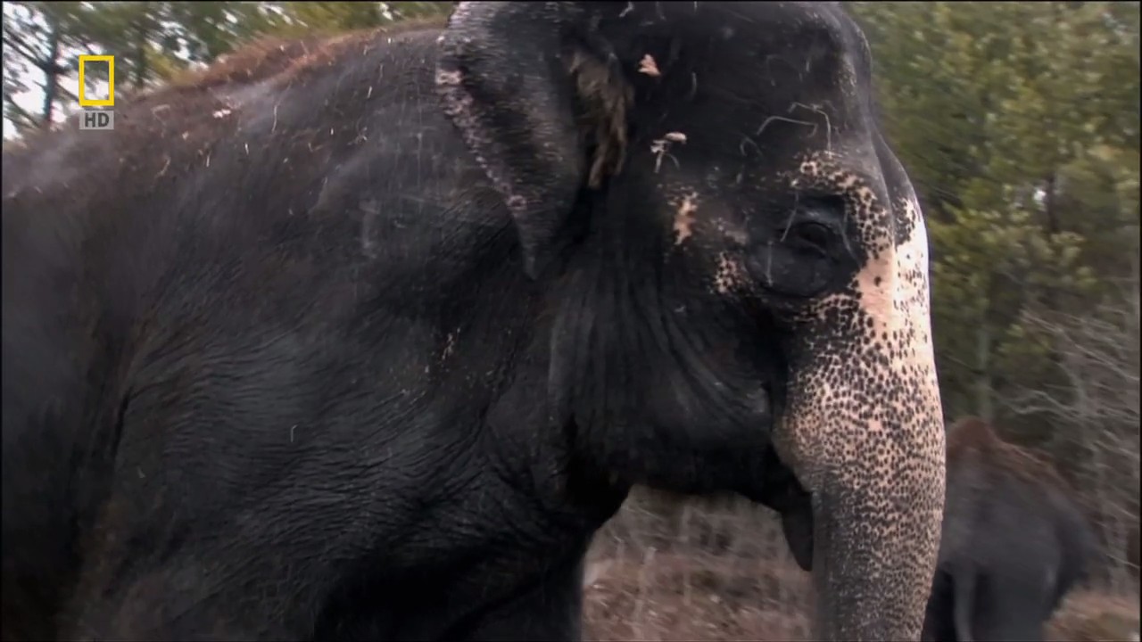 子宫日记：动物篇剧照的剧照