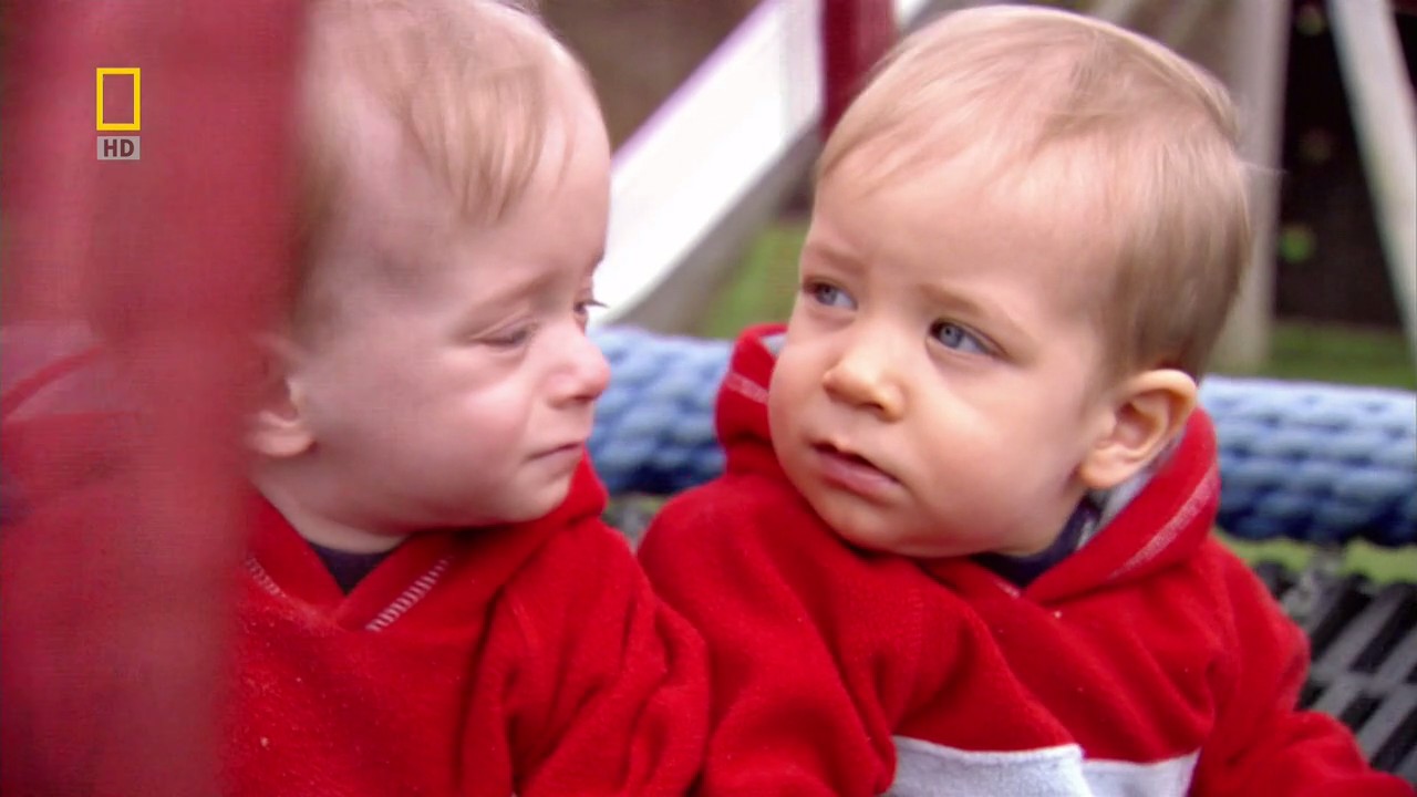 子宫日记：多胞胎剧照的剧照