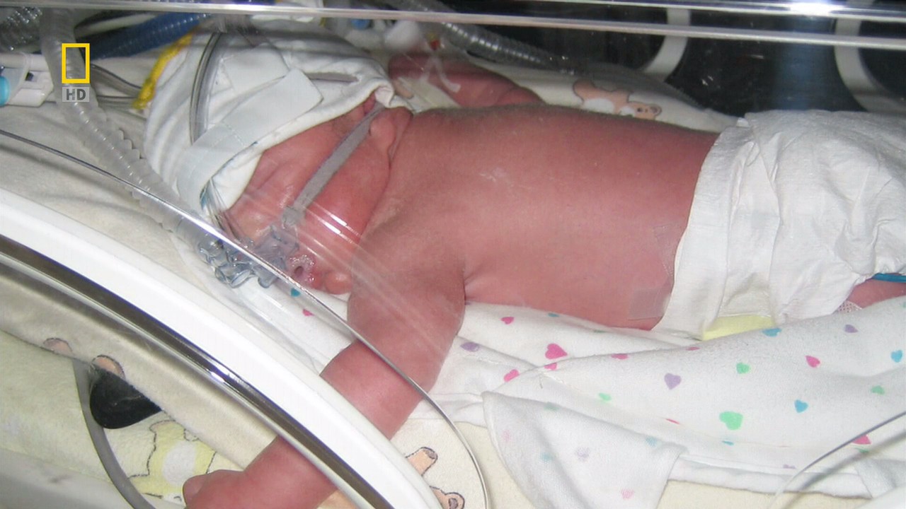 子宫日记：多胞胎剧照的剧照