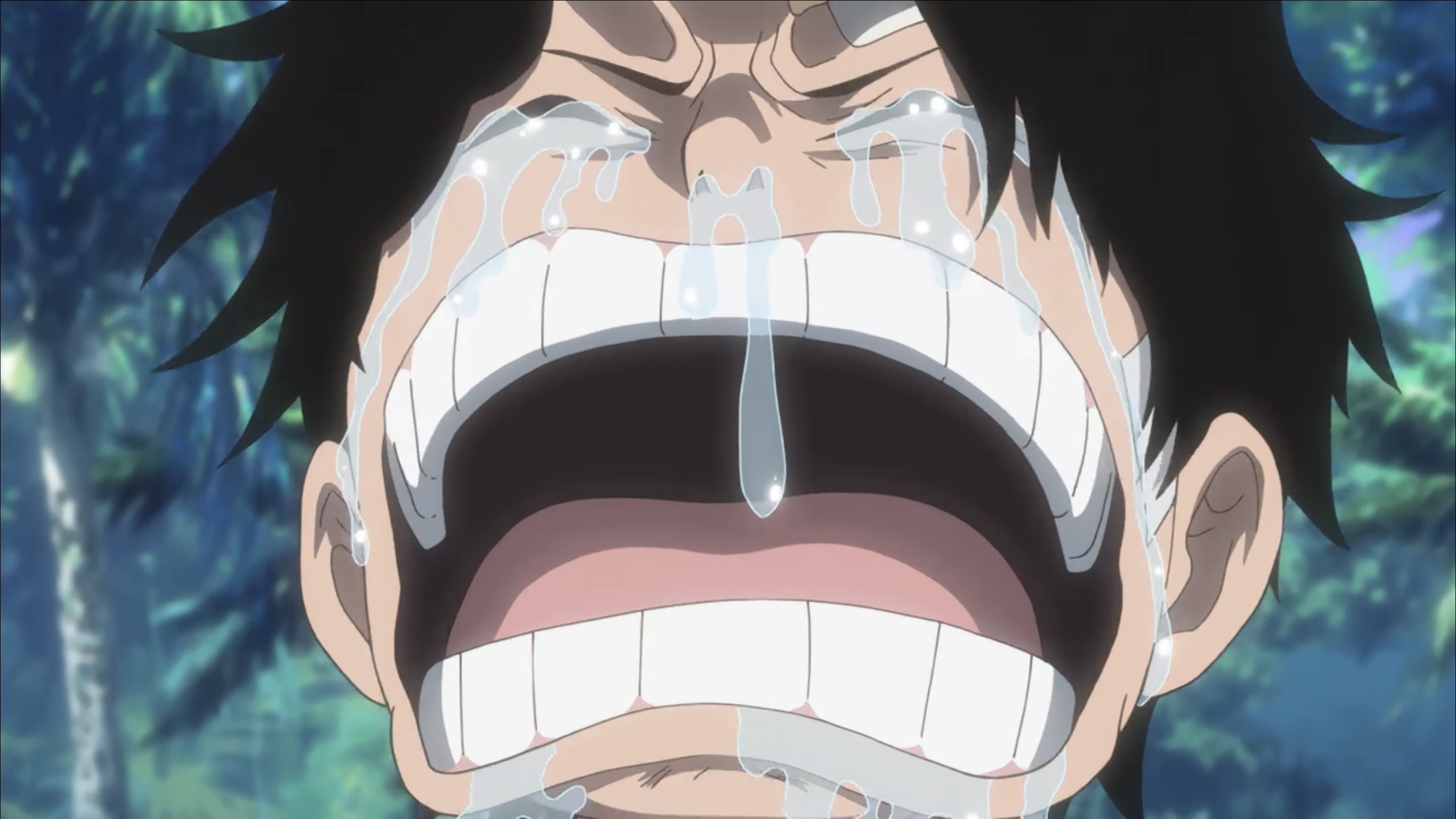 海贼王萨博篇：三兄弟的羁绊 奇迹的再会和被继承的意志剧照的剧照