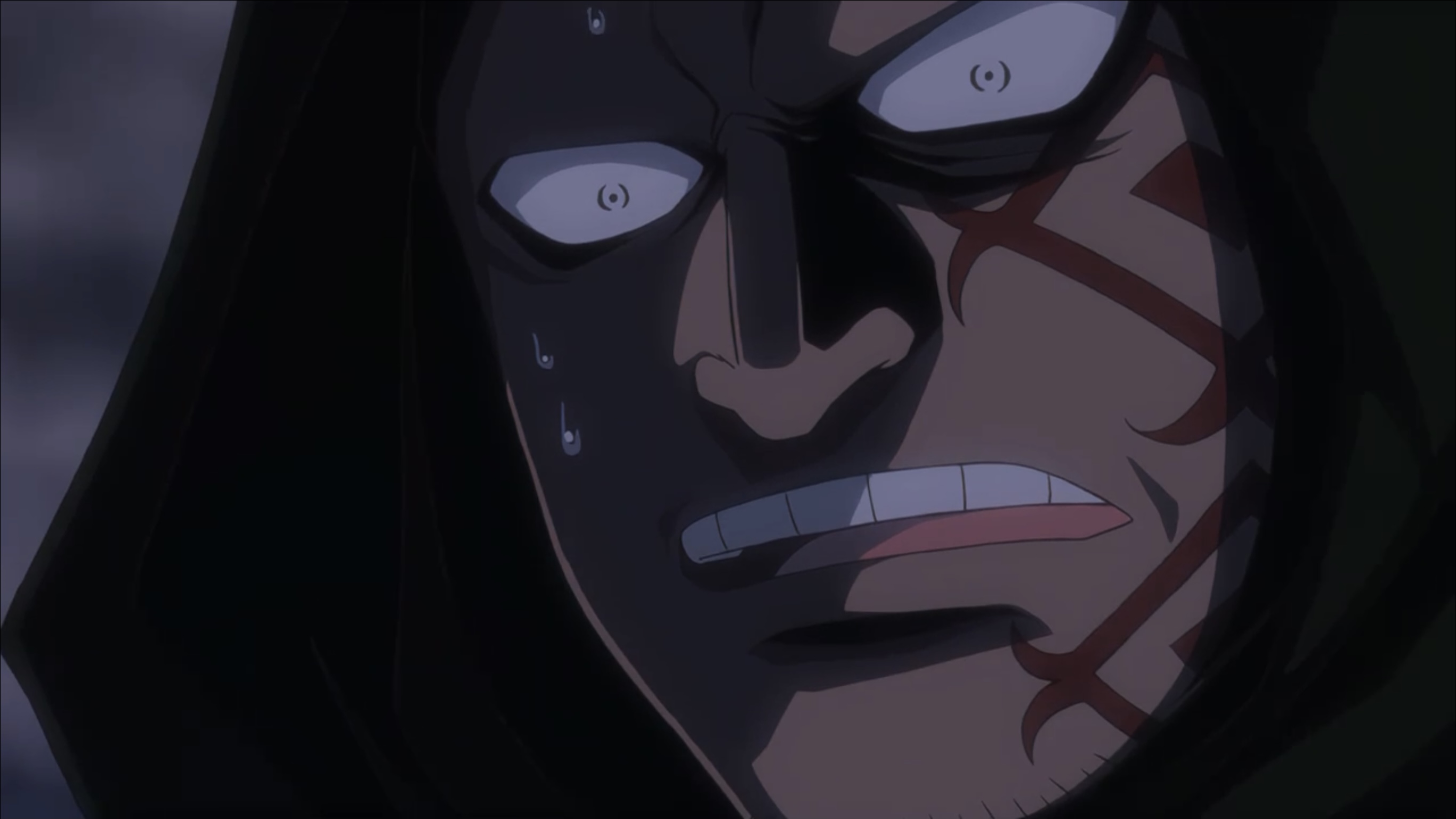 海贼王萨博篇：三兄弟的羁绊 奇迹的再会和被继承的意志剧照的剧照