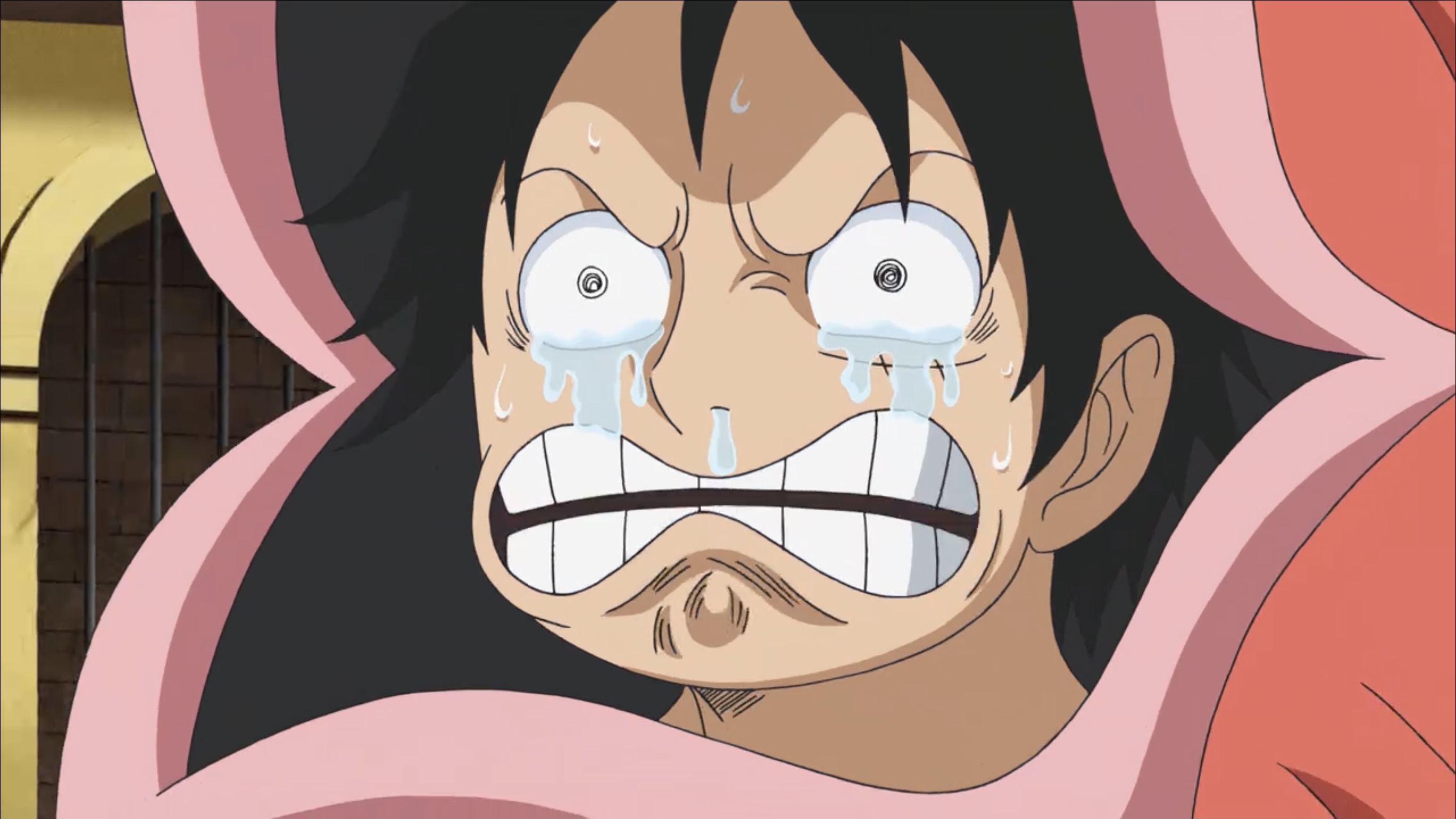 海贼王萨博篇：三兄弟的羁绊 奇迹的再会和被继承的意志剧照的剧照